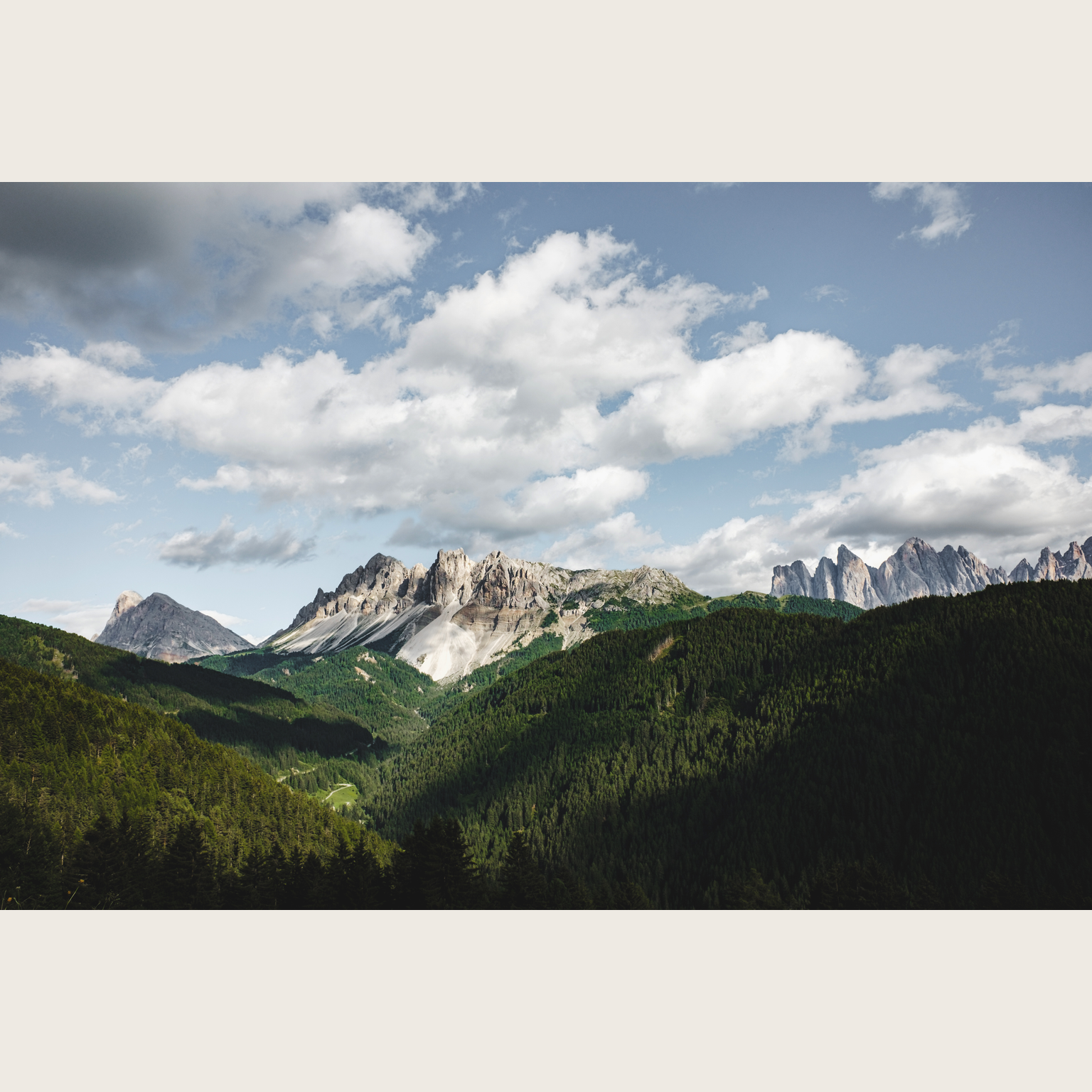 Forest valley source image before AI transformation