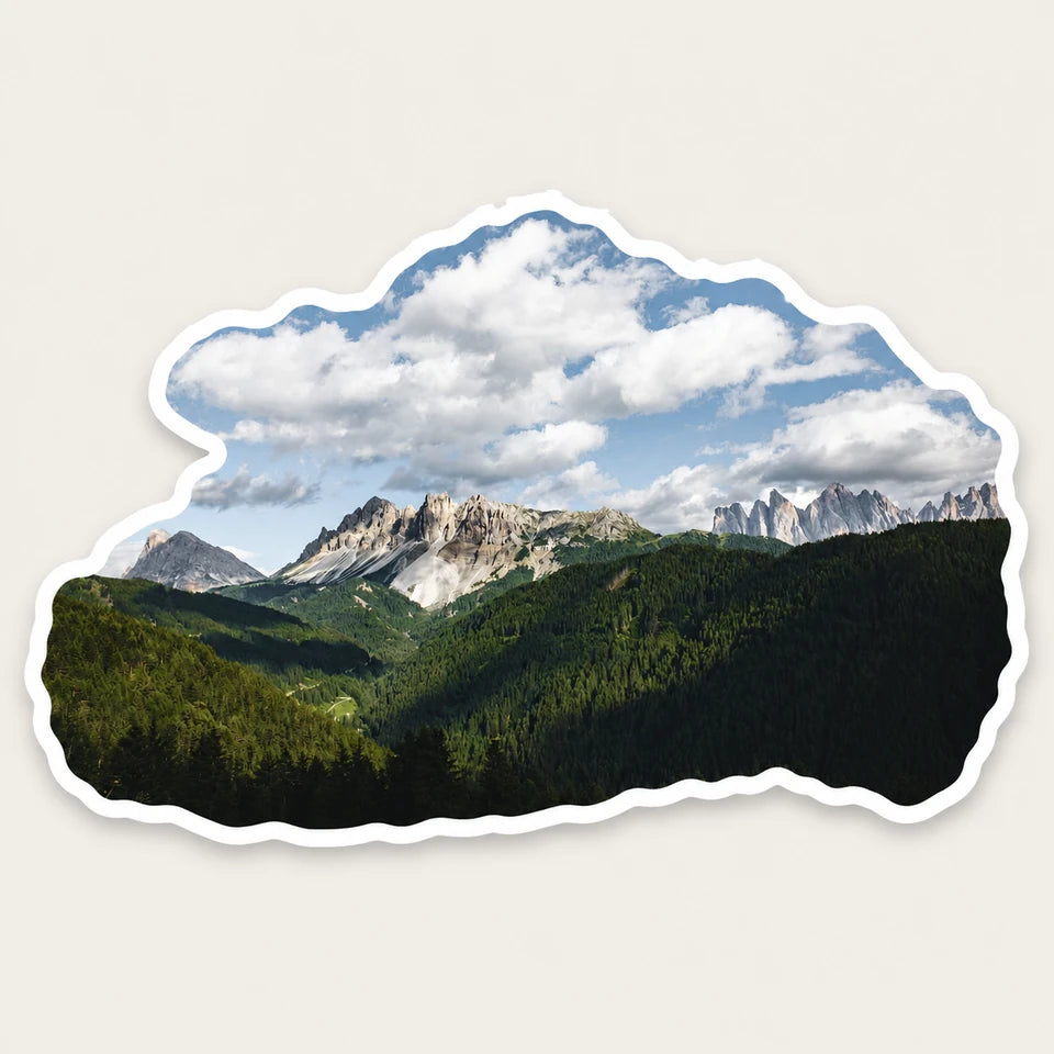 Photo Sticker result generated from the adjacent forest valley source image